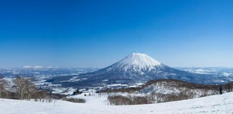 Pesona Musim Dingin Jepang: Keindahan Salju Hokkaido dan Pegunungan yang Memikat